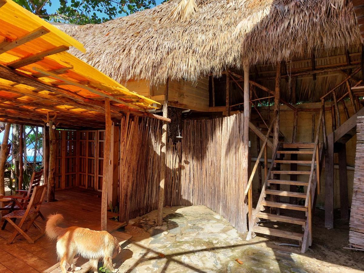 Cabarete Maravilla Eco Lodge Boutique Beach Surf Encuentro, Kite, By Aa Crypto Group 외부 사진