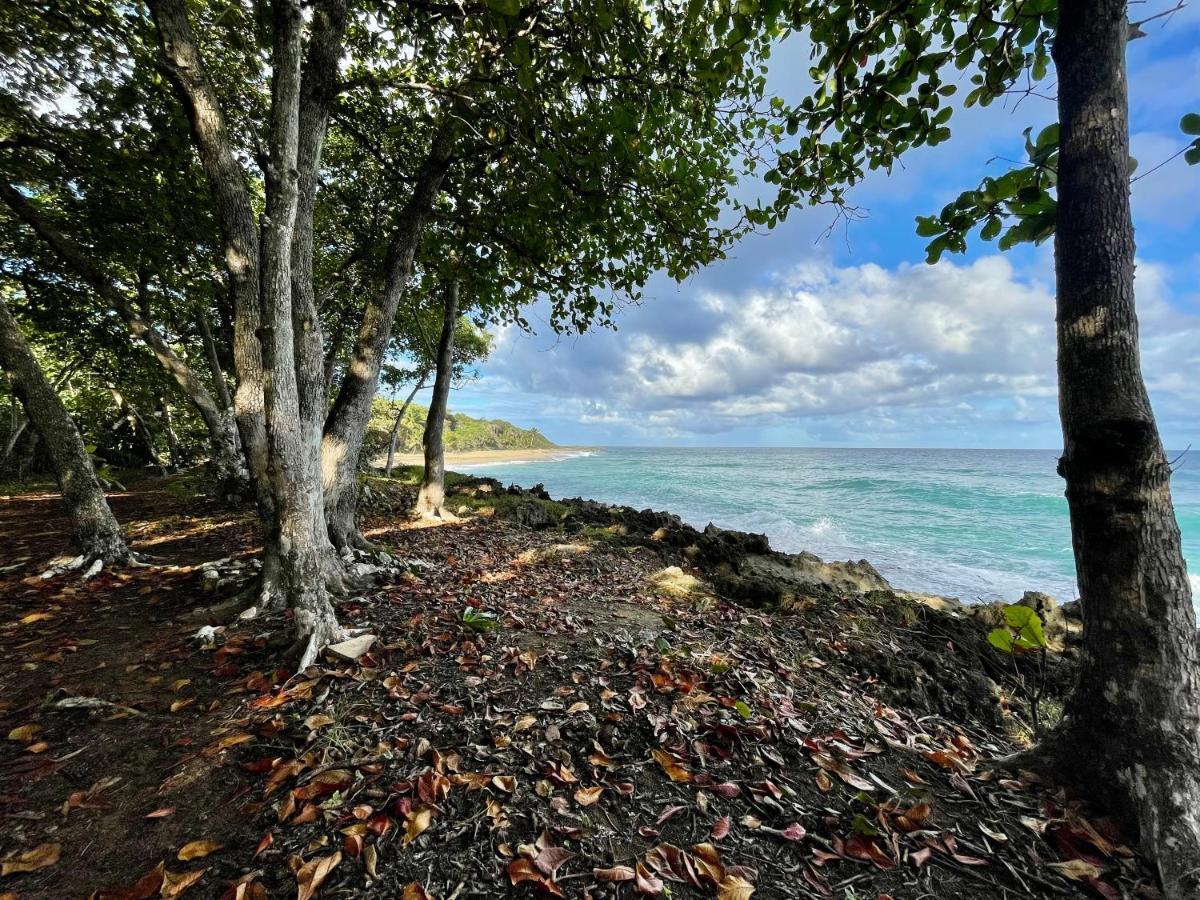 Cabarete Maravilla Eco Lodge Boutique Beach Surf Encuentro, Kite, By Aa Crypto Group 외부 사진