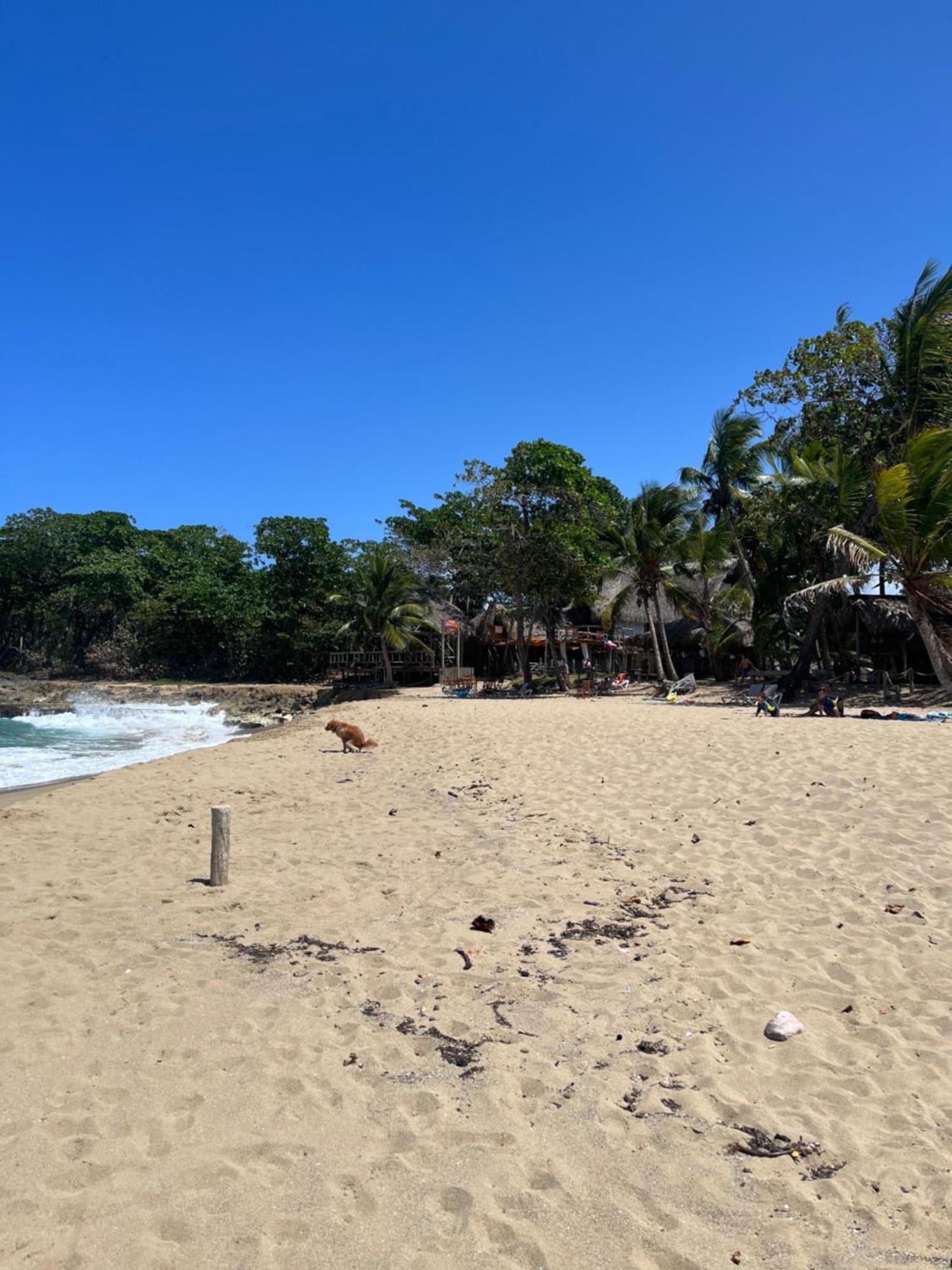 Cabarete Maravilla Eco Lodge Boutique Beach Surf Encuentro, Kite, By Aa Crypto Group 외부 사진