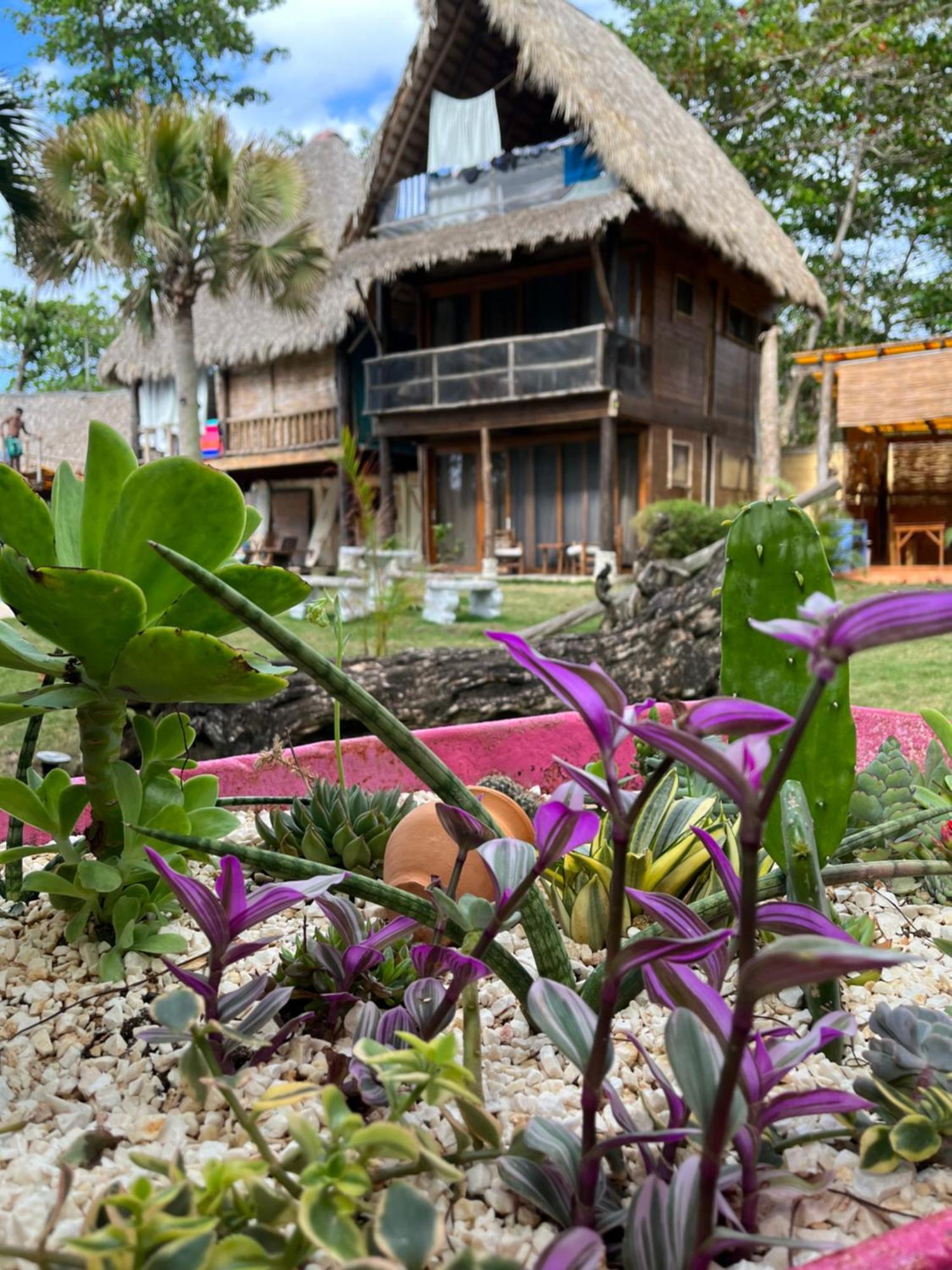 Cabarete Maravilla Eco Lodge Boutique Beach Surf Encuentro, Kite, By Aa Crypto Group 외부 사진