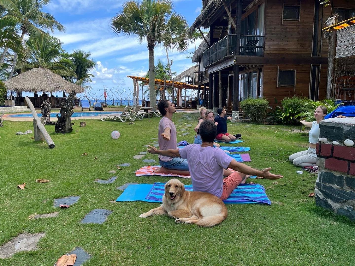 Cabarete Maravilla Eco Lodge Boutique Beach Surf Encuentro, Kite, By Aa Crypto Group 외부 사진